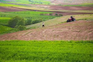 Jak chronić powierzchnię ziemi przed zanieczyszczeniami pochodzenia rolniczego?